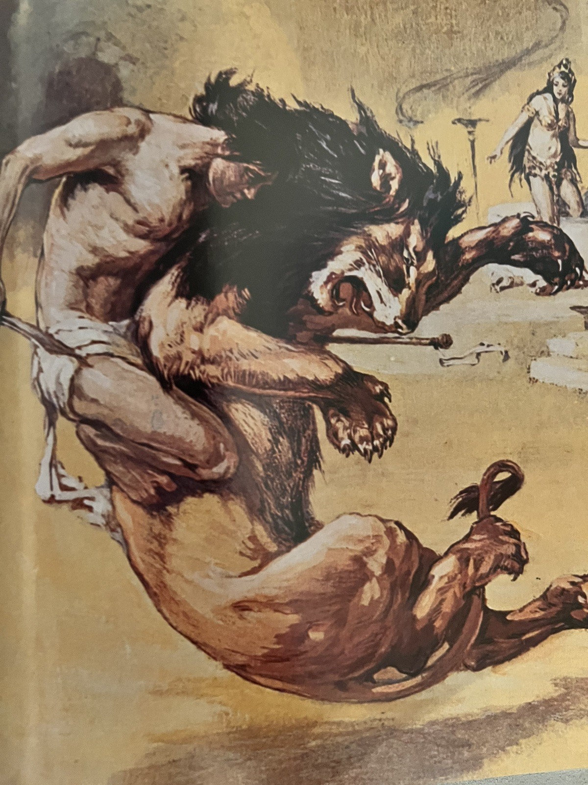 Tarzan the Centennial Celebration – Slipcase Limited Special Edition signed