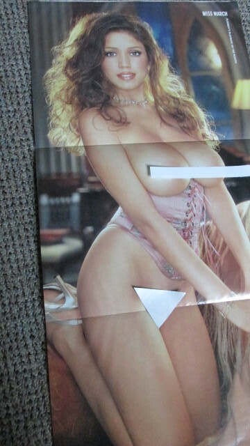 Full Year Set of 12, 2001 CENTERFOLDS: Playboy Magazine: DALENE KURTIS PMOY