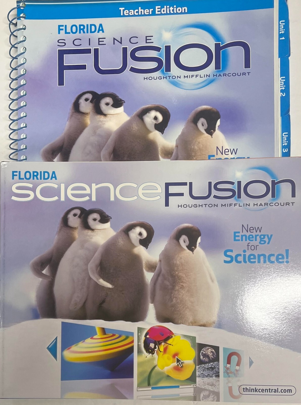 Kindergarten Science Bundle Grade K Curriculum Homeschool Homeschooling