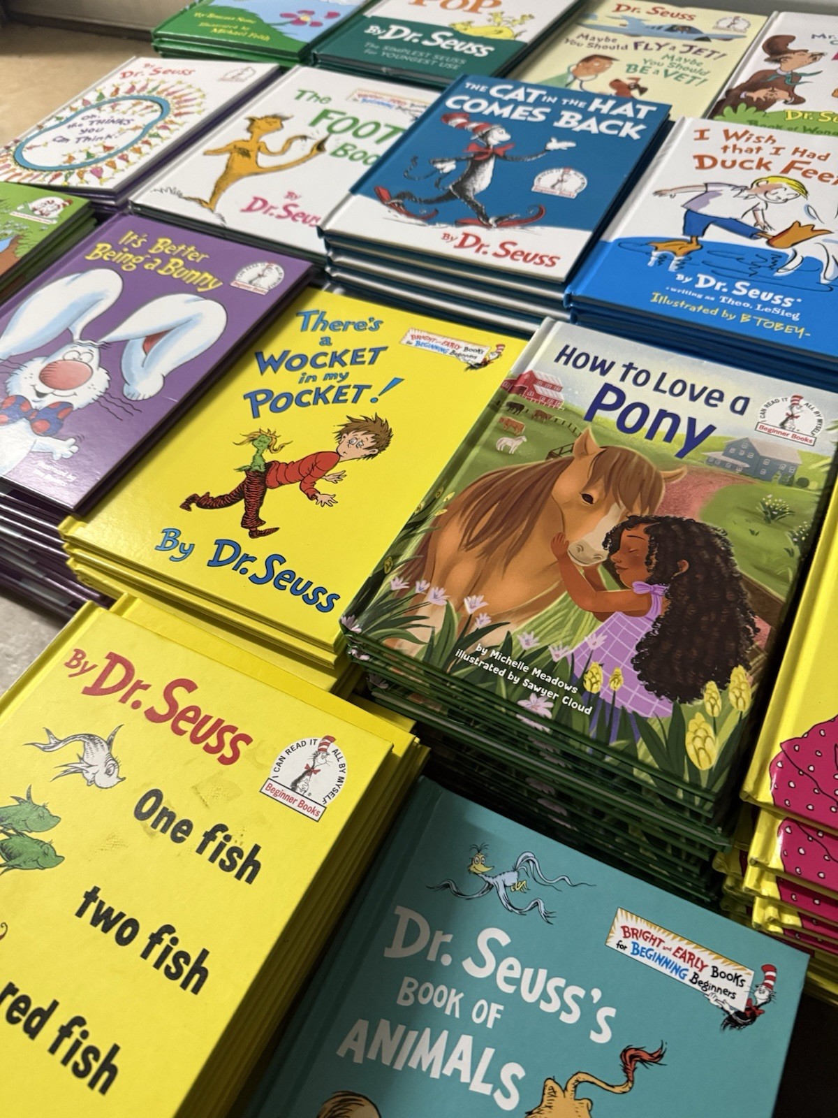 Dr Seuss Lot of 20 Beginners Books All Unique Titles Hardcover Classroom