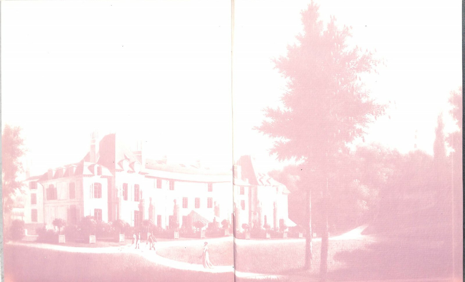 Pierre-Joseph Redoute’s Liliacees 1985 Sotheby’s New York