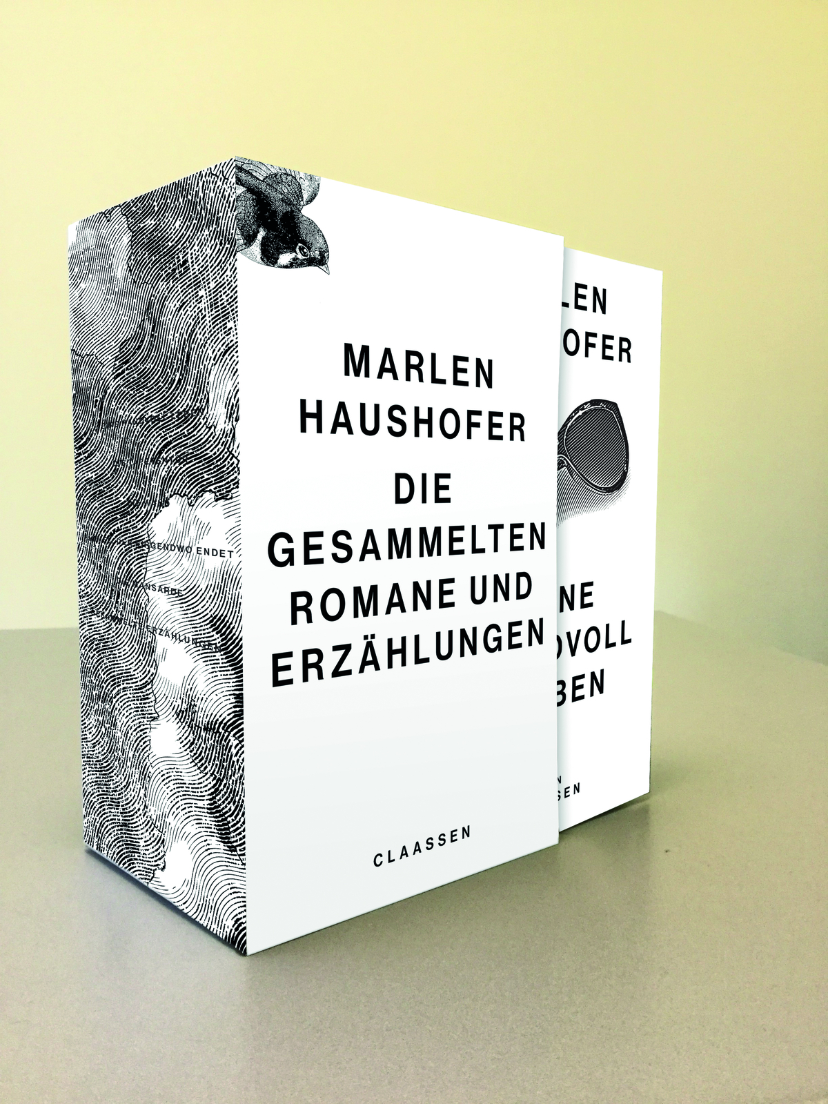 Marlen Haushofer: Die gesammelten Romane und Erzählungen: Die erste Werkausgabe