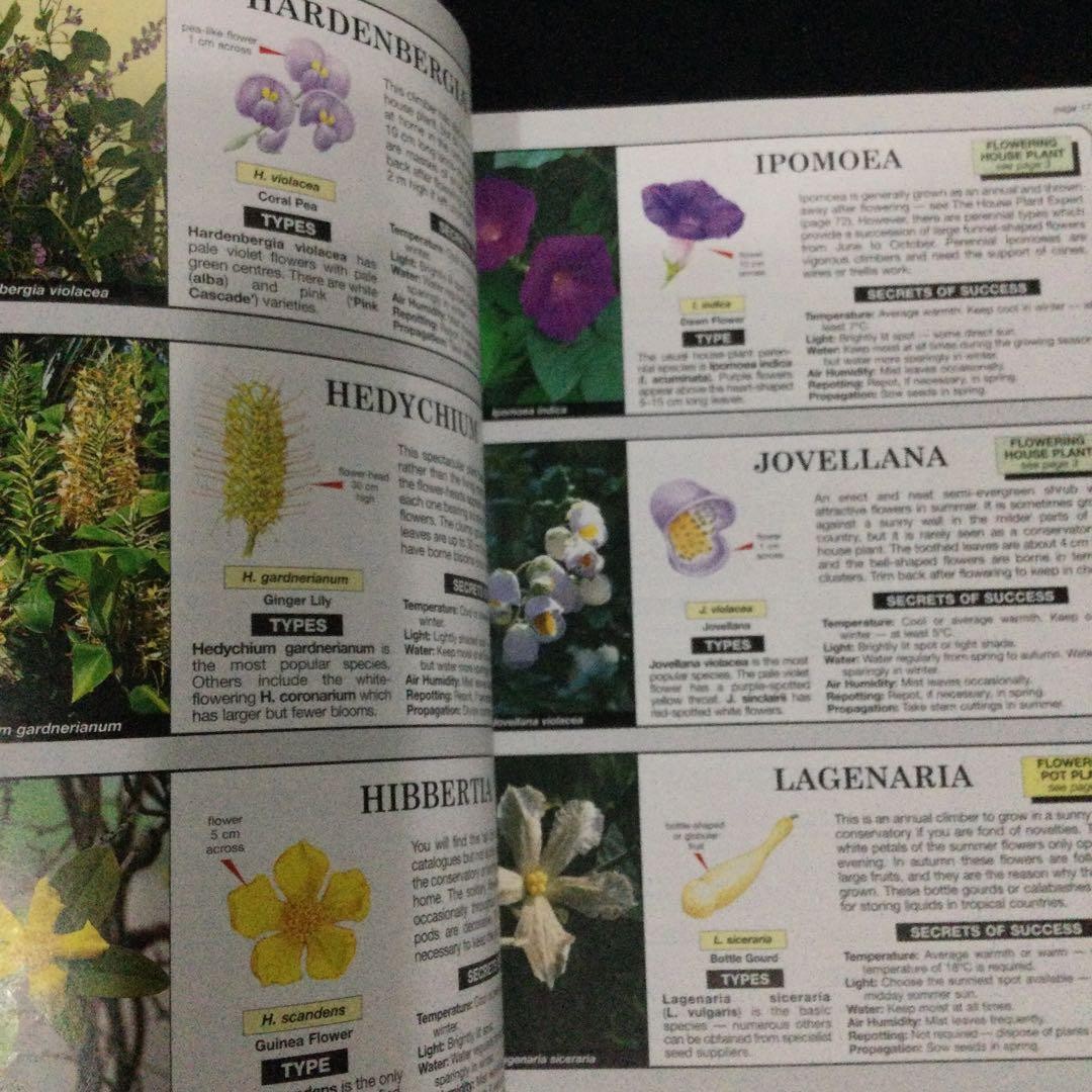 The House Plant Expert Dr. 128 Pages Gardening Plants English Book 9.5×7.1in