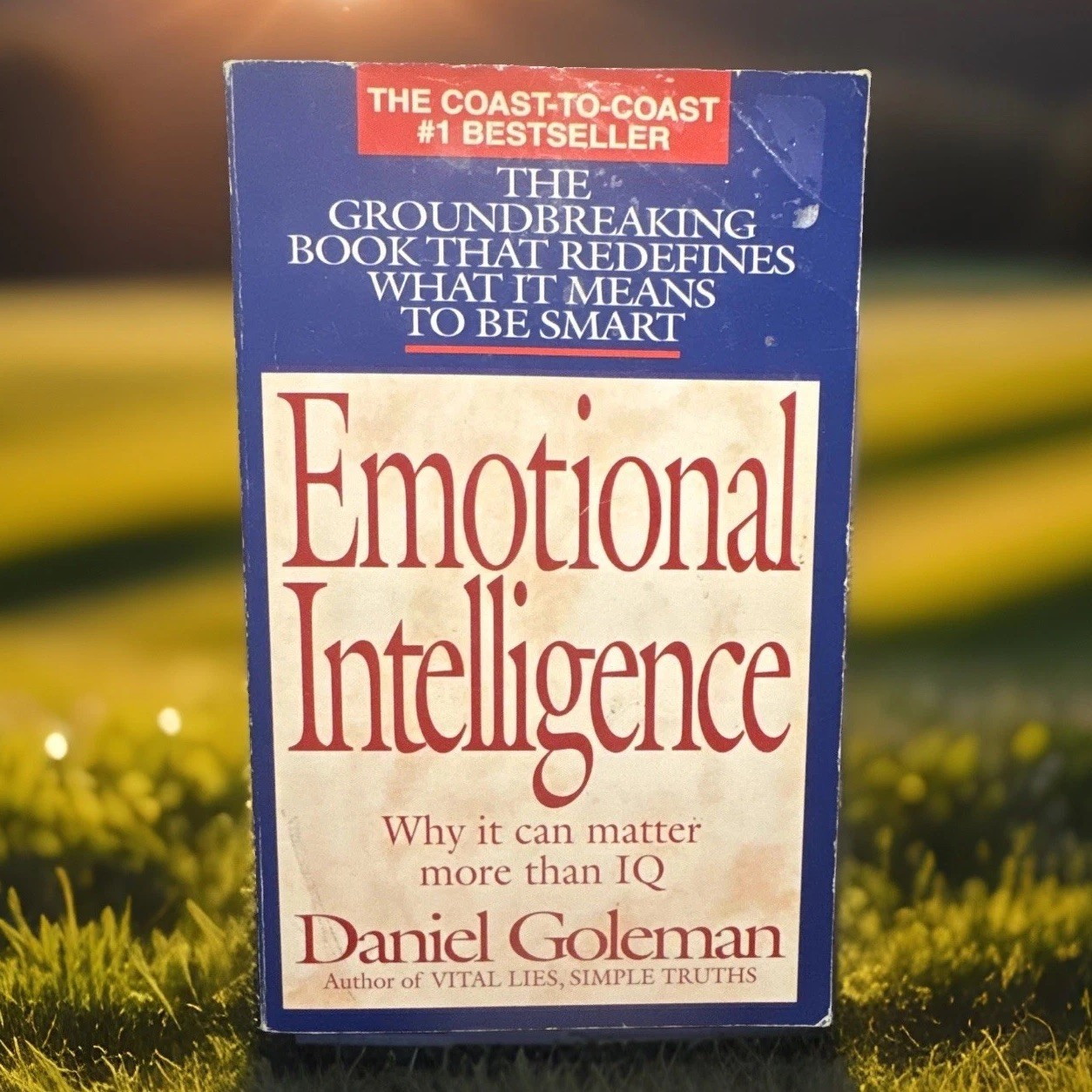 Daniel Goleman Emotional Intelligence Paperback Psychology English Bantam Books