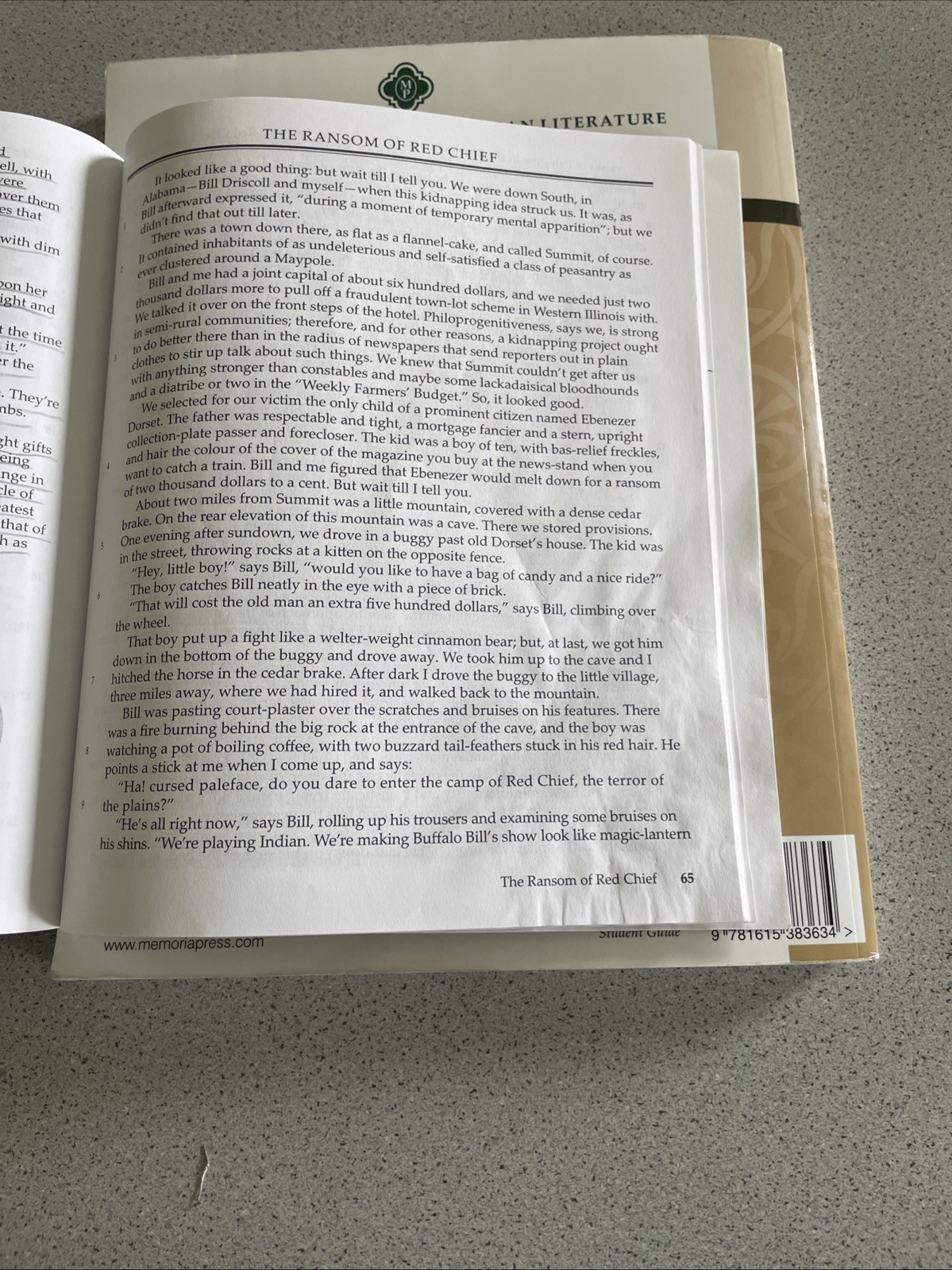 American Literature 19th-20th Centuries Poetry And Short Stories, Student Guide