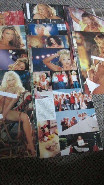 Full Year Set of 12, 2001 CENTERFOLDS: Playboy Magazine: DALENE KURTIS PMOY