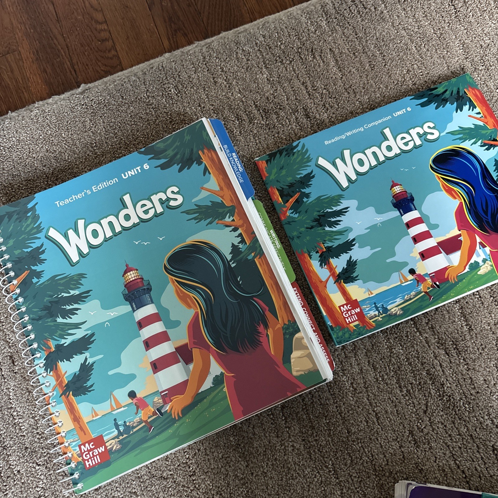 MCGRAW HILL Wonders – Teachers Edition Reading Education Book – Grade 2 / Unit 6