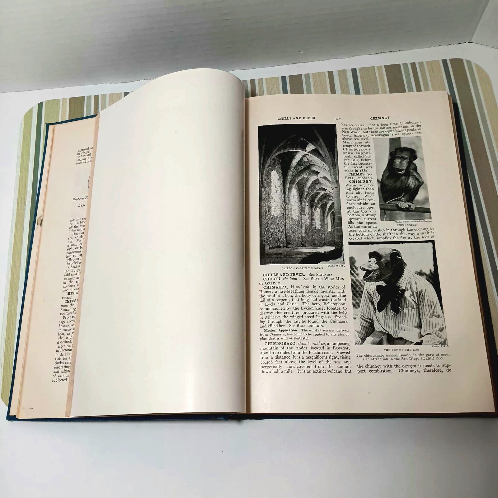 Antique 1930 World Book Encyclopedia Set Volumes 1-12 & Guide Leather Marbled