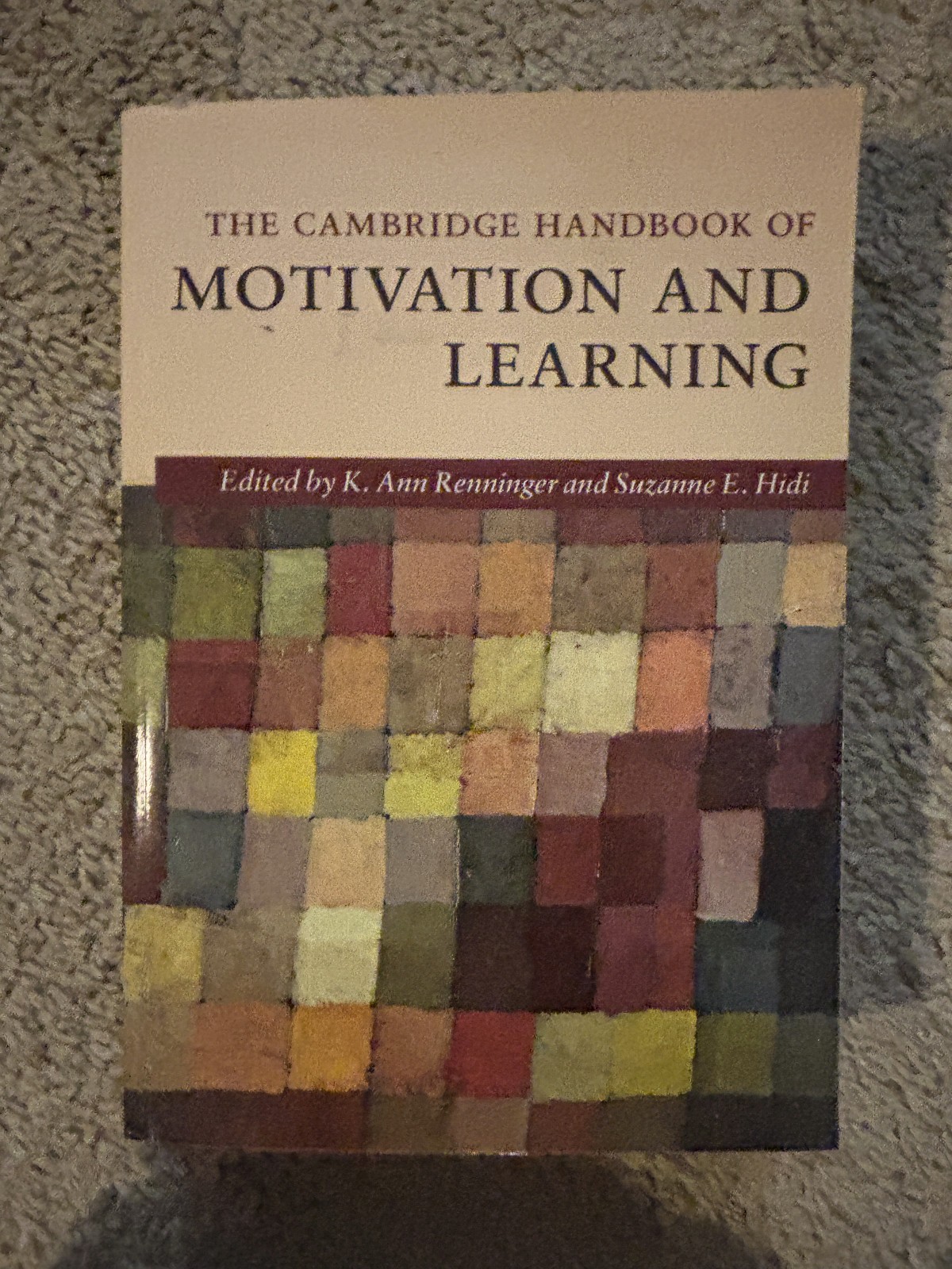 The Cambridge Handbook of Motivation and Learning Renninger Hidi Paperback