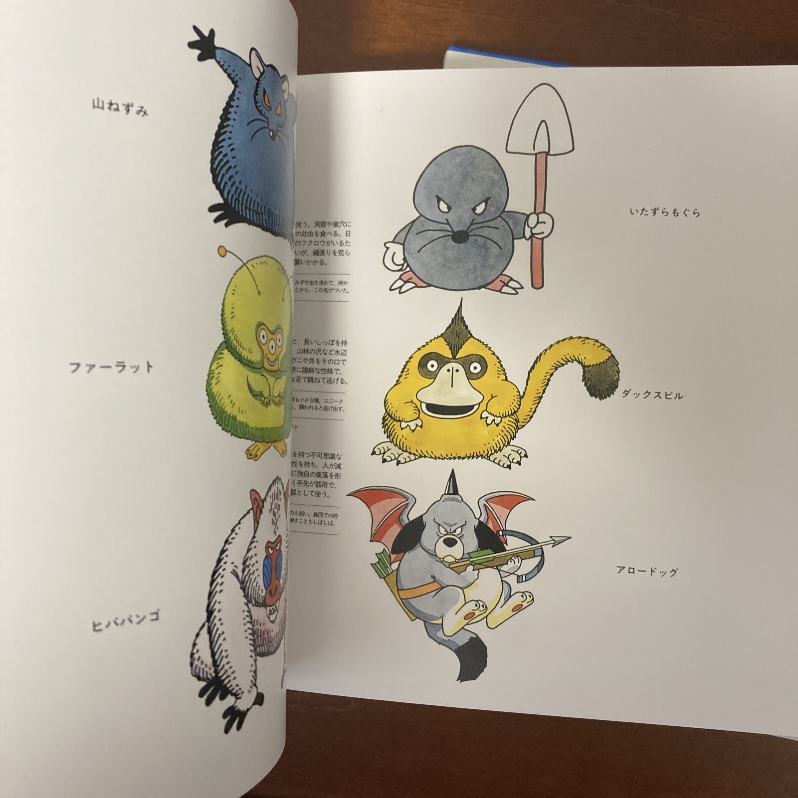 Akira Toriyama Illustrations Dragon Quest Monsters Art Book Set