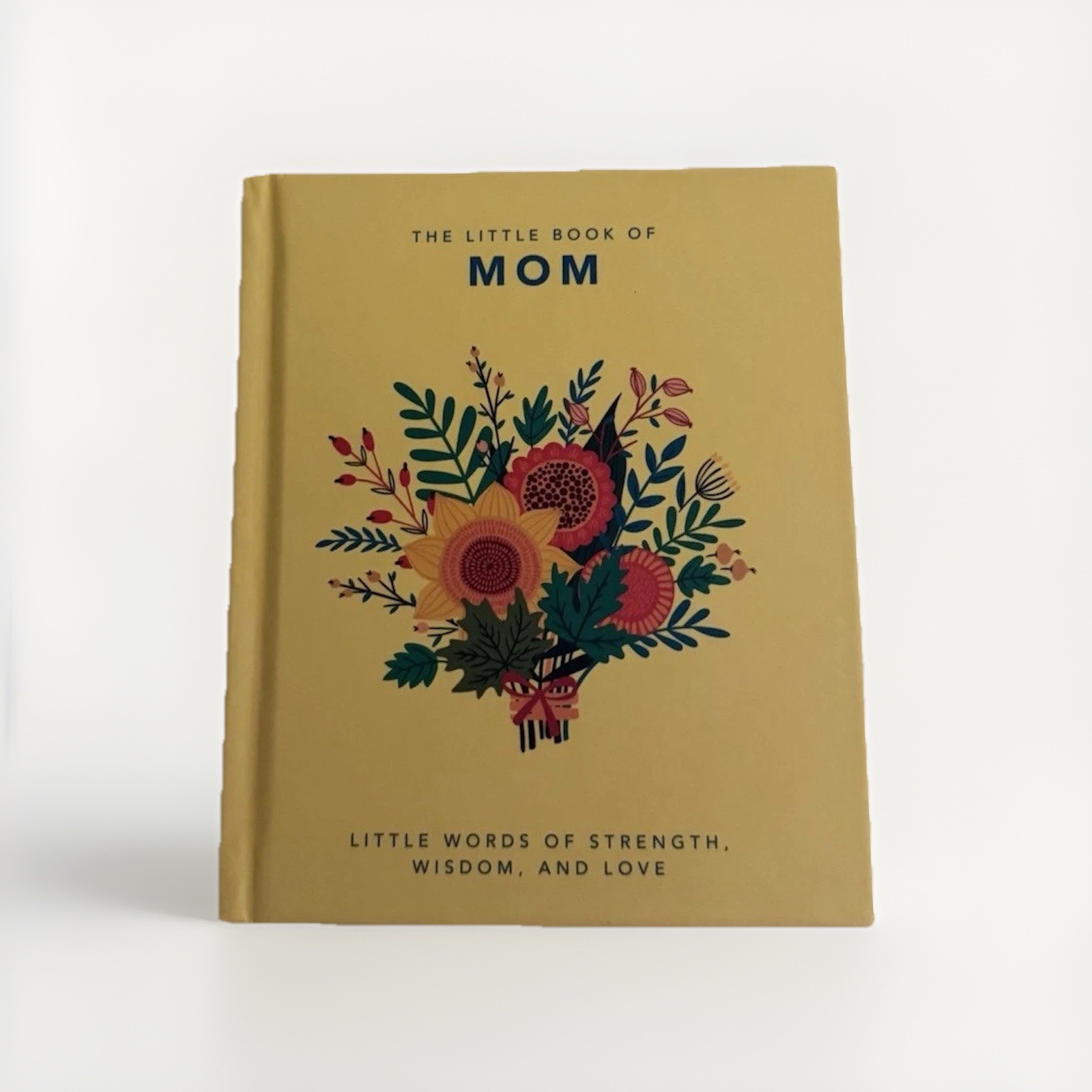 Orange Hippo! Little Book of Mom Hardcover