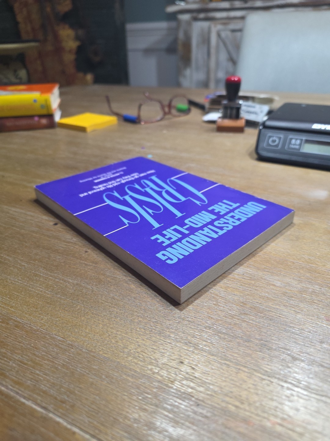 Understanding the Mid-Life Crisis by Peter O’Connor (1988, Trade Paperback)