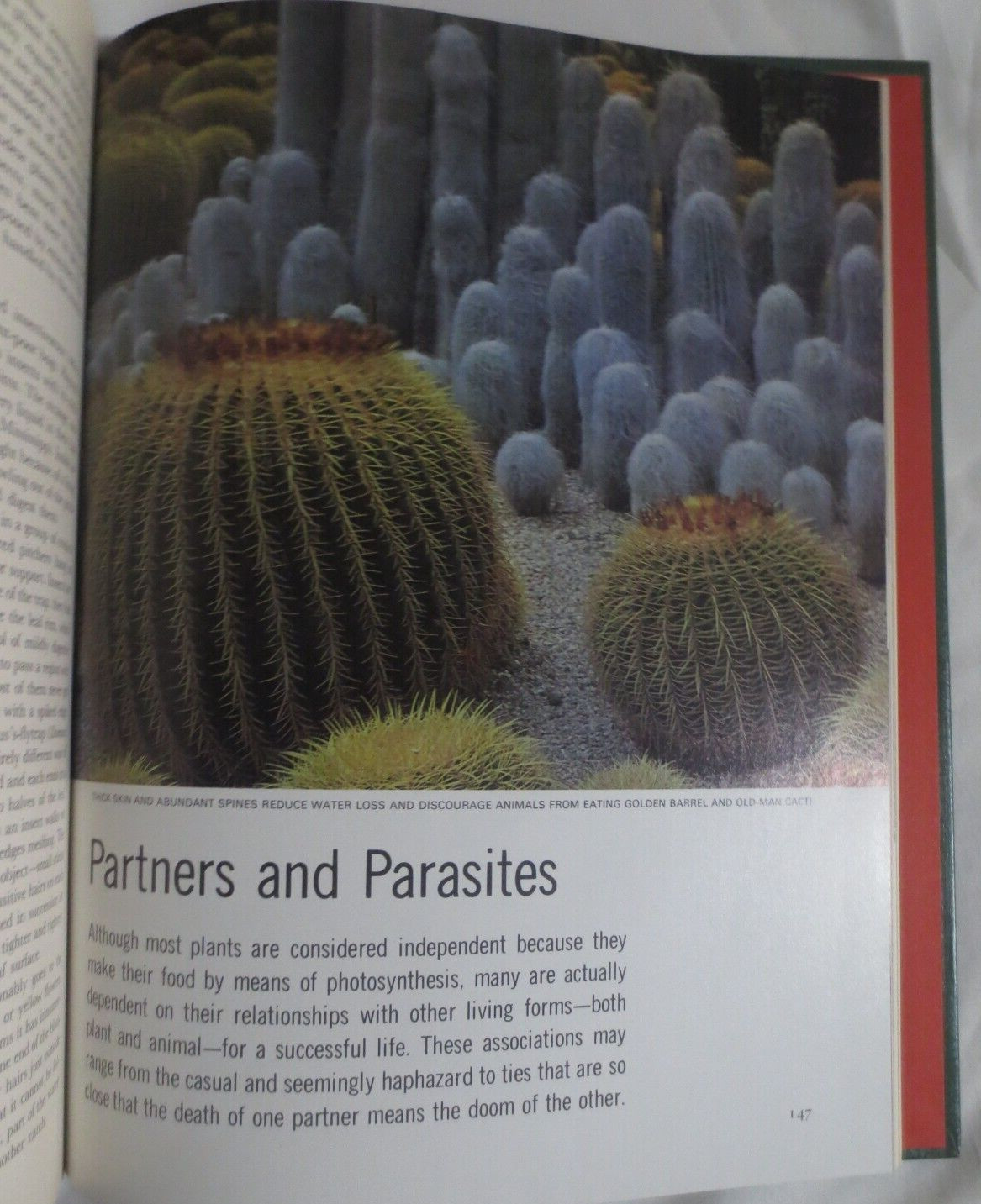 Life Nature Library The Plants 1968 194 Pages
