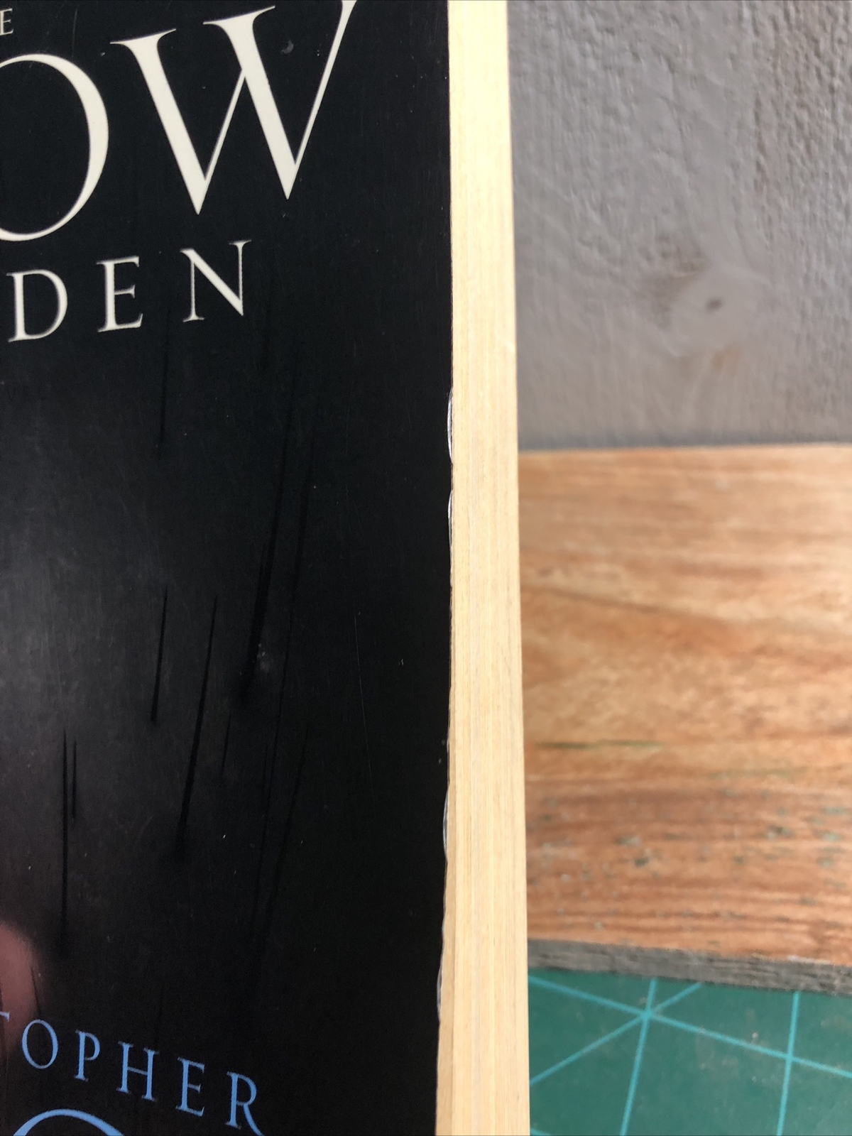 The Snow Garden : A Novel by Christopher Rice (2001 , Trade Paperback) Book