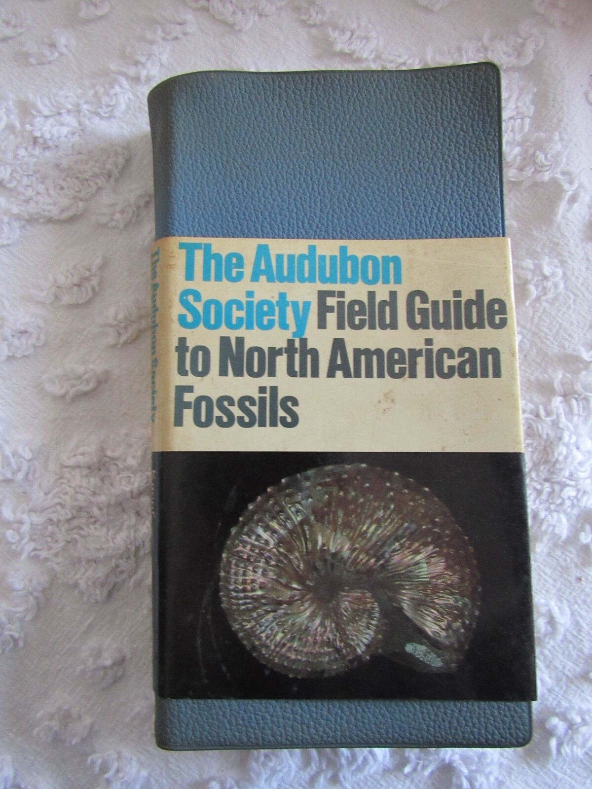 Audubon Society Field Guide to North American Fossils Softcover Book
