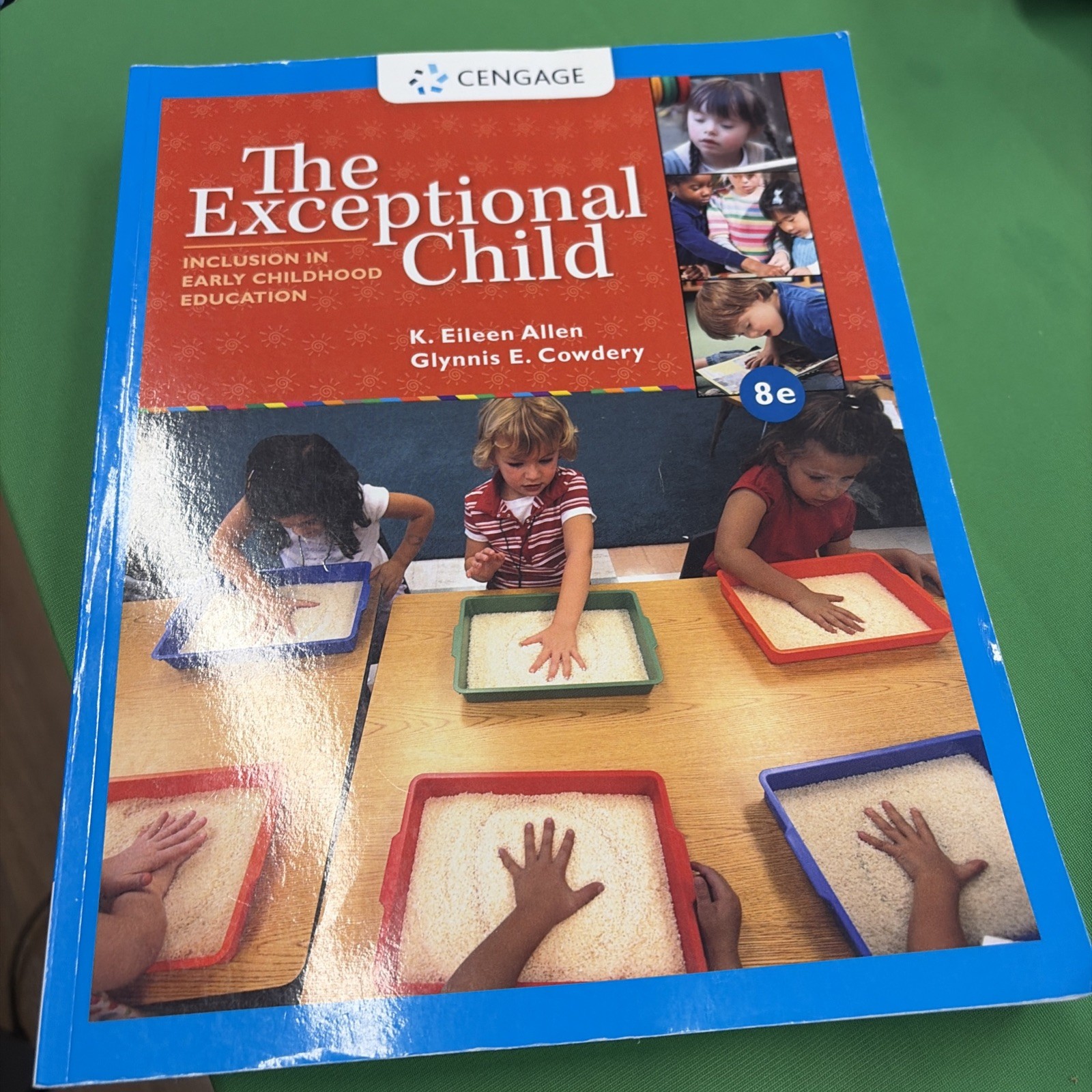 Exceptional Child : Inclusion in Early Childhood…8e Paperback