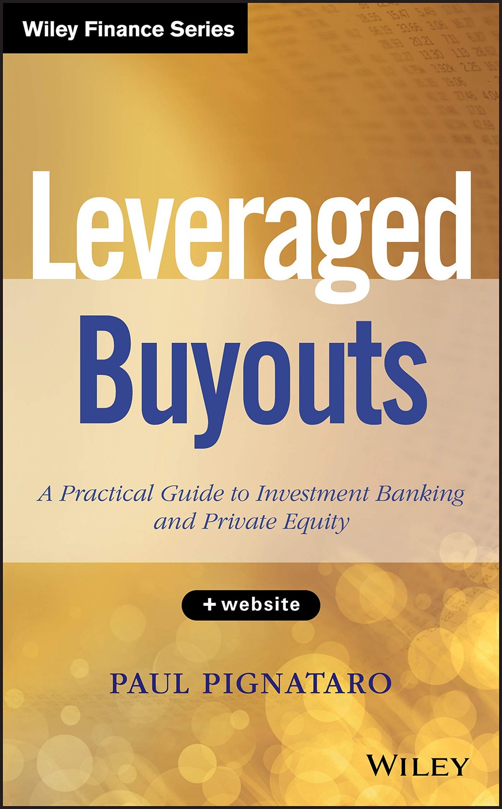 Leveraged Buyouts, + Website: A Practical Guide to Investment Banking and Pr…