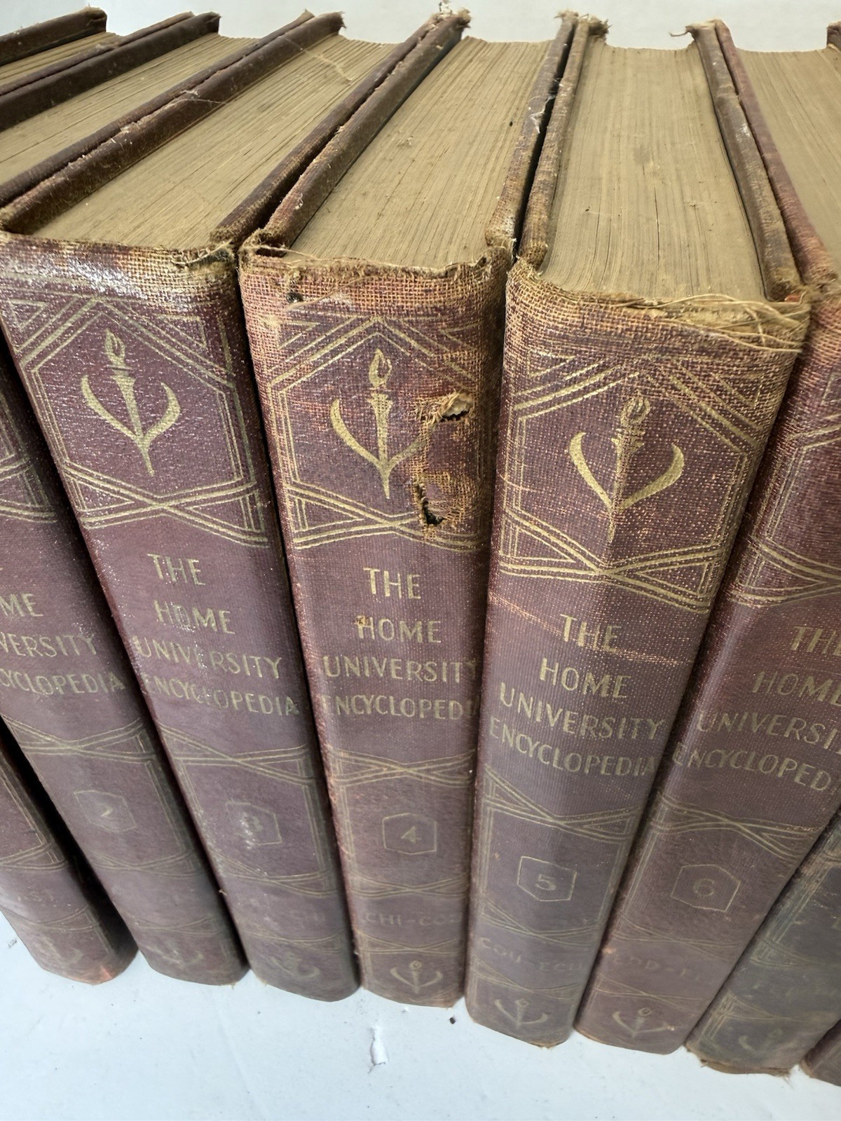 RARE Vintage 15 Volume Set Of The Home University Encyclopedia By C Ralph Taylor
