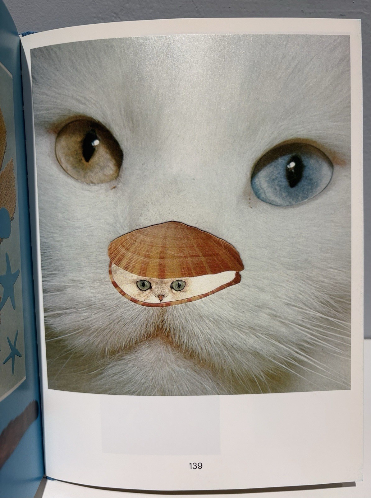 Stephen Eichhorn Photobook CATS & PLANTS Shrinkwrapped & NEW OP RARE!!