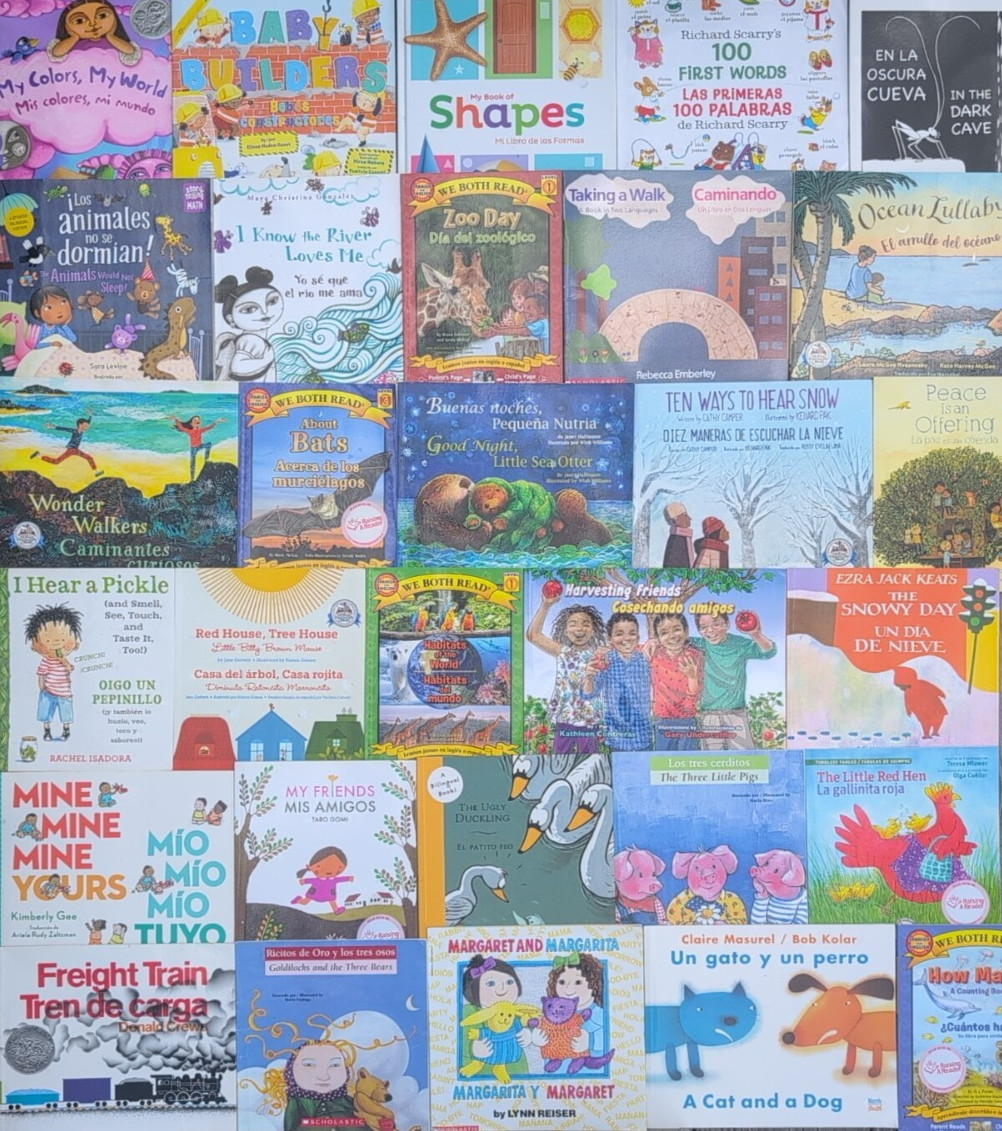 RANDOM MIX Lot of 10 BILINGUAL Spanish AND English Children’s Picture Books