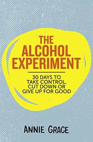The Alcohol Experiment – Paperback, by Annie Grace – Good