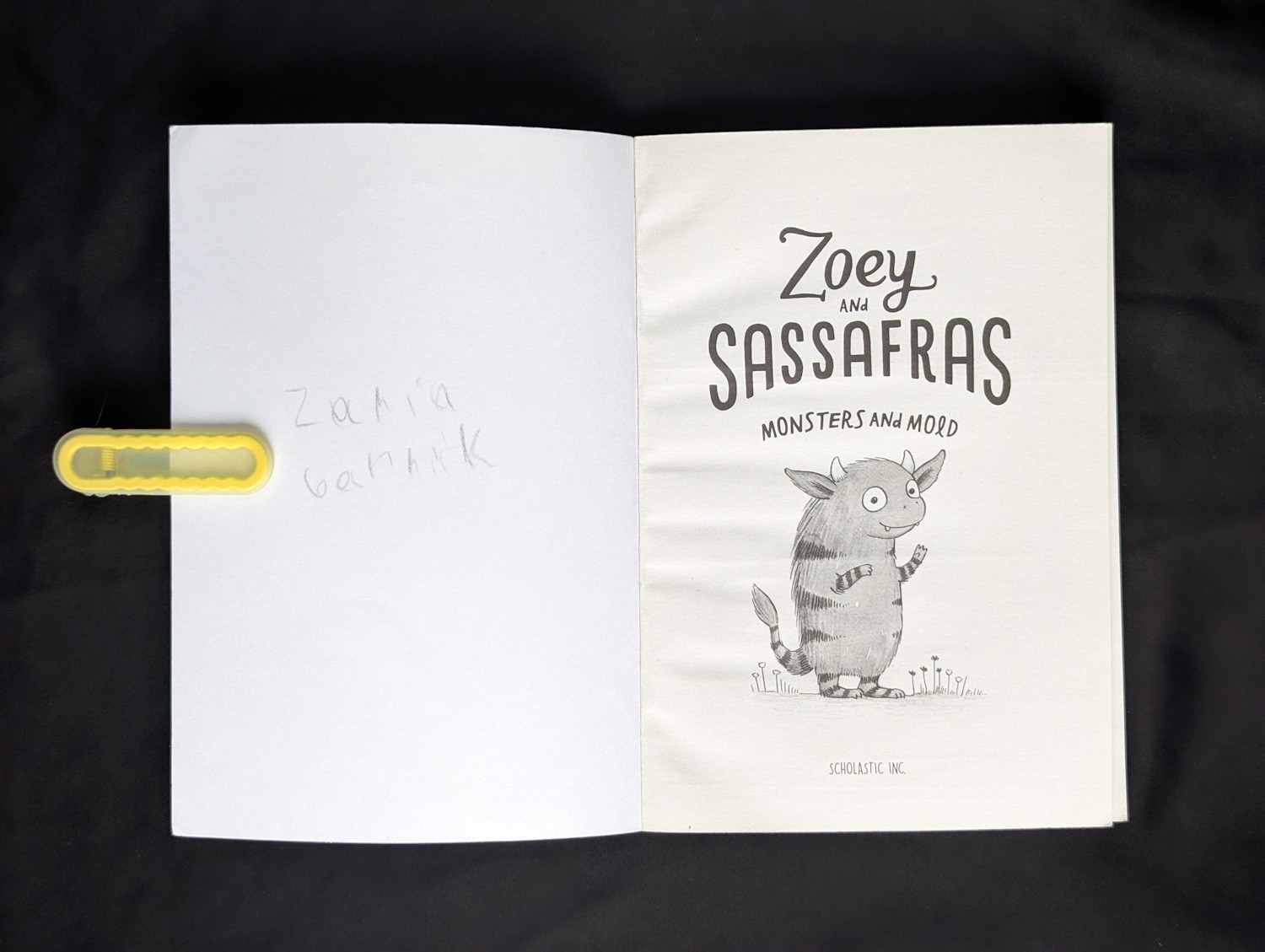 Lot Of 7 Asia Citro Books Zoey & Sassafras Pod Bog Caterflies Monsters Wishypoof
