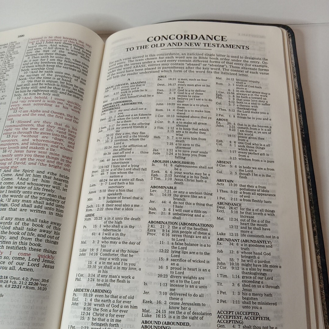 1994 Reference KJV Concordance Leather Red Letter Bible Zondervan Blue Vtg