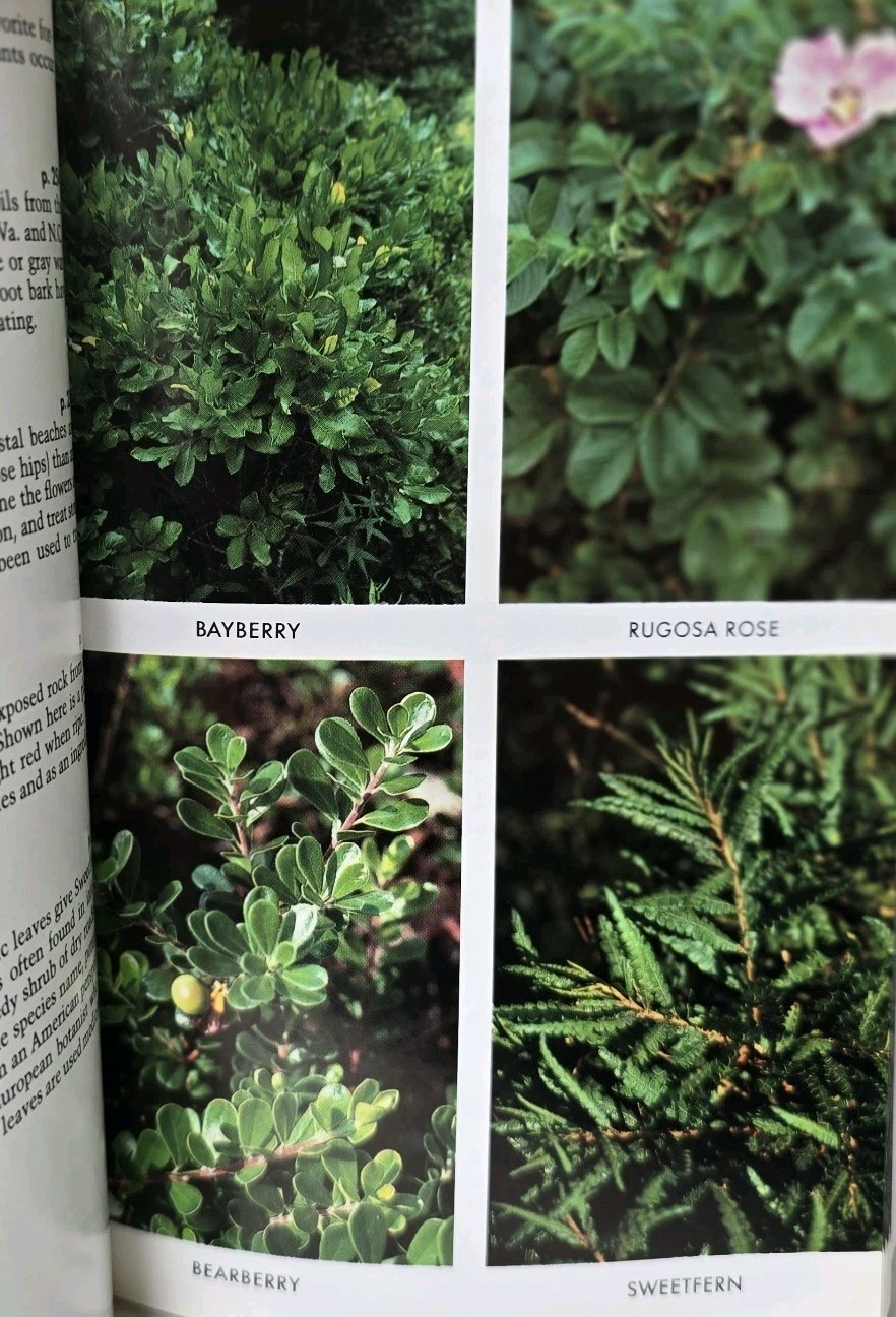 Peterson Field Guide Eastern / Central MEDICINAL PLANTS Steven Foster James Duke