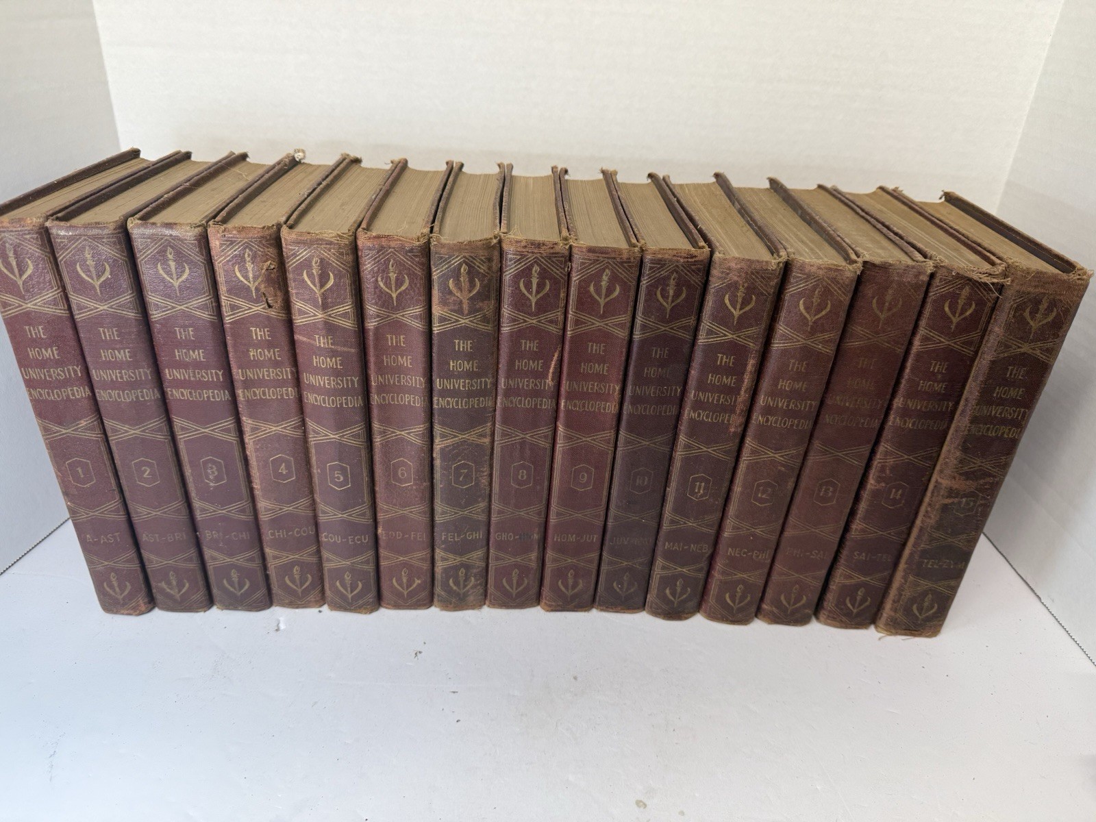 RARE Vintage 15 Volume Set Of The Home University Encyclopedia By C Ralph Taylor