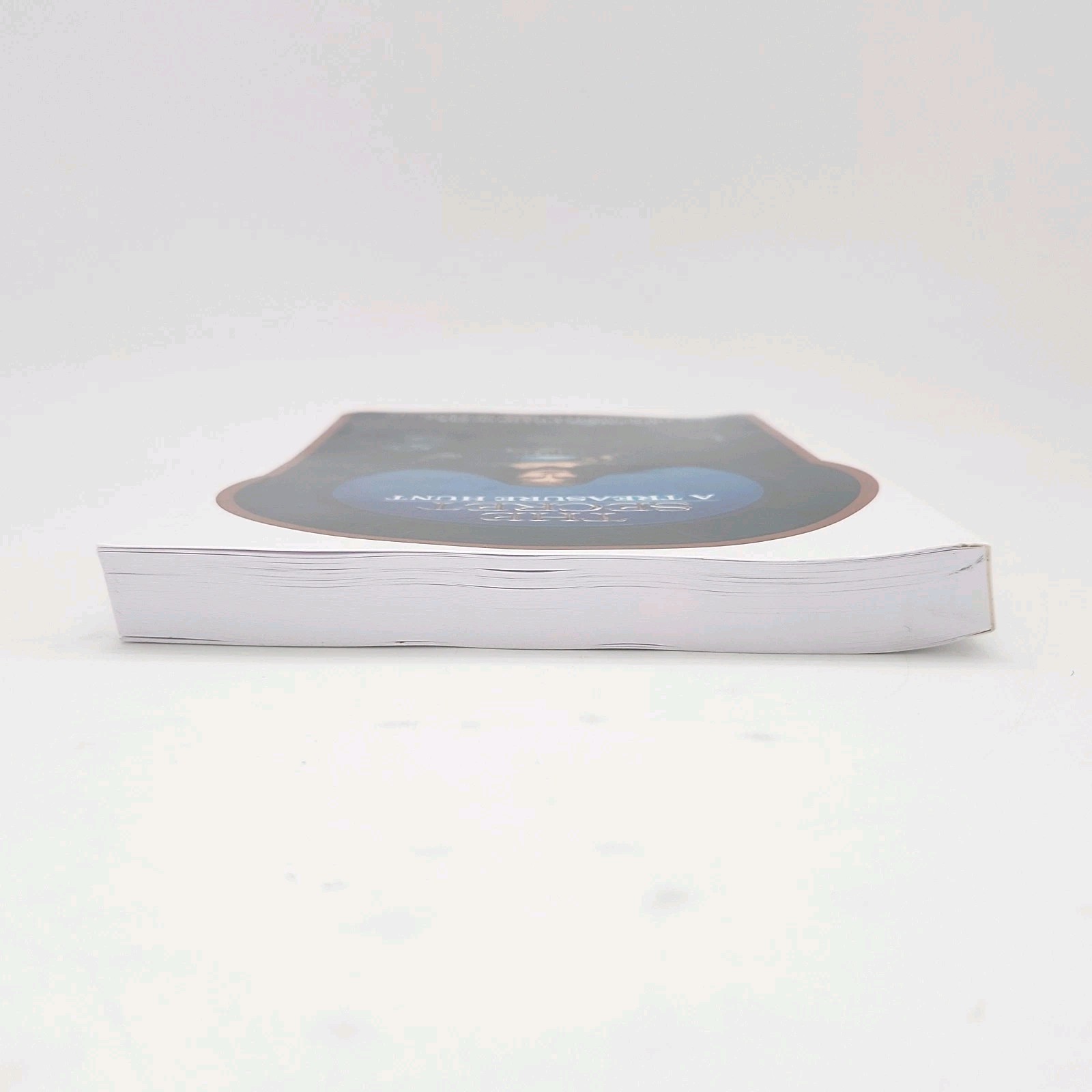 The Secret A Treasure Hunt by Sean Kelly & Ted Mann 2018 Paperback Book