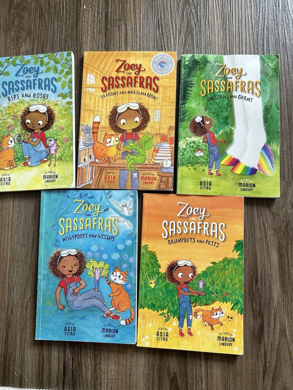 Zoey And Sassafras By Asia Citro 5 Book Bundle Lot Paperback School Age Chapter