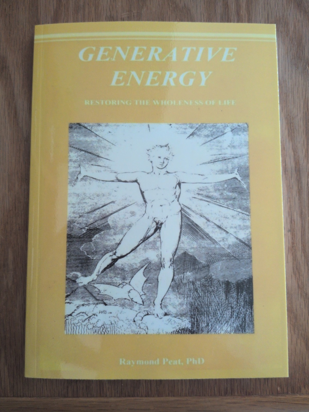 GENERATIVE ENERGY: Restoring The Wholeness Of Life – US seller