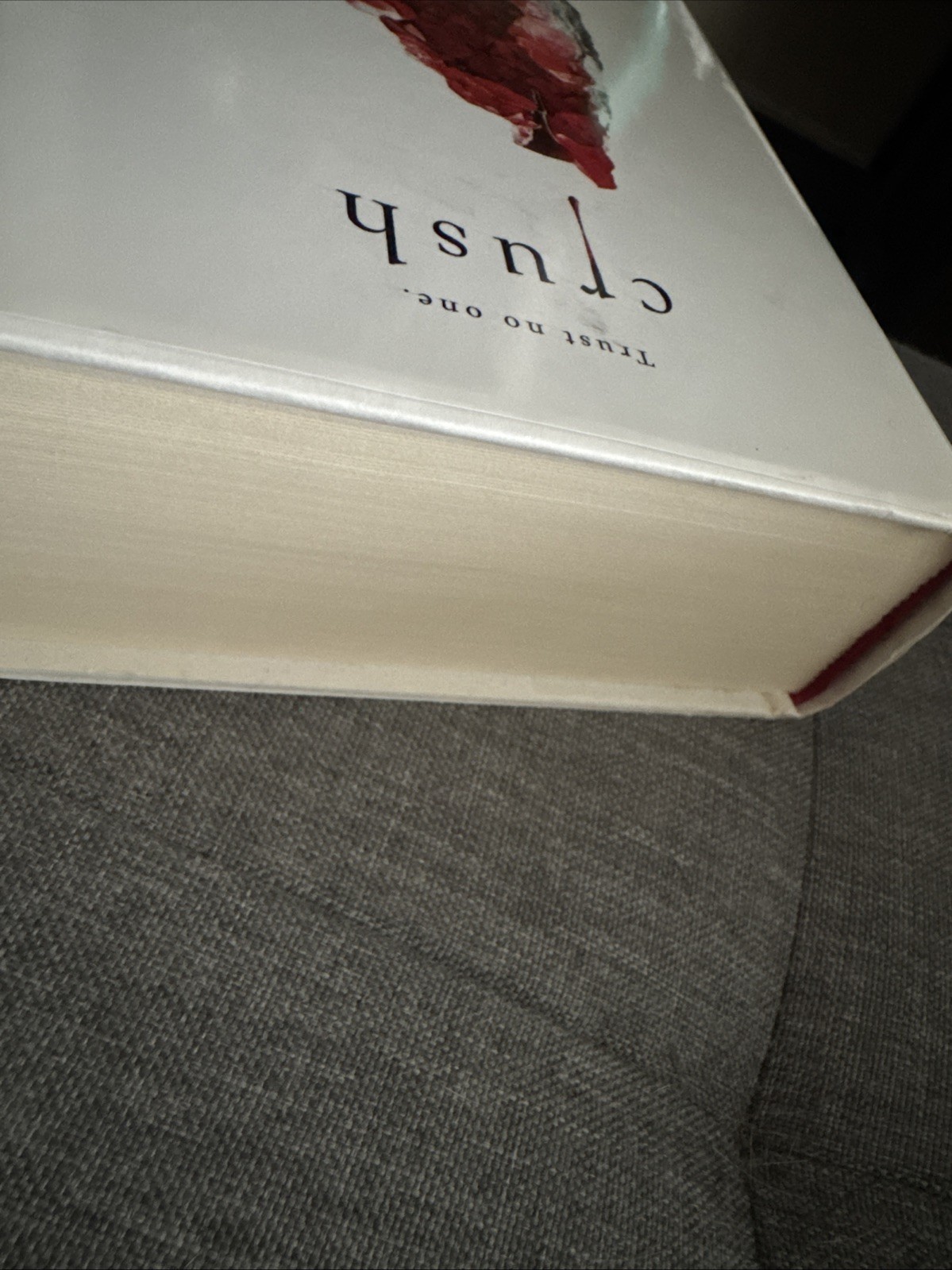 Crush by Tracy Wolff (2020, Hardcover)