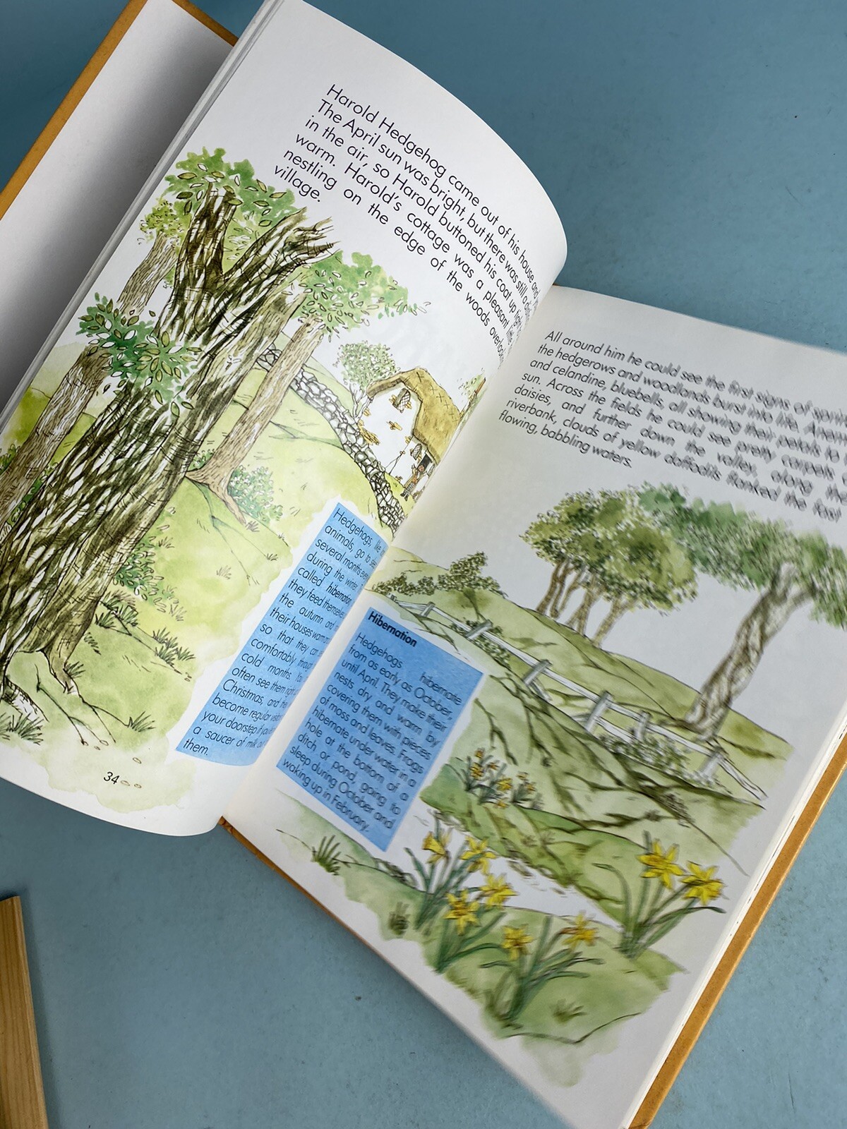 Vintage Countrylane Storybook – David Bellamy (4 Stories) – 1989 Large H/C