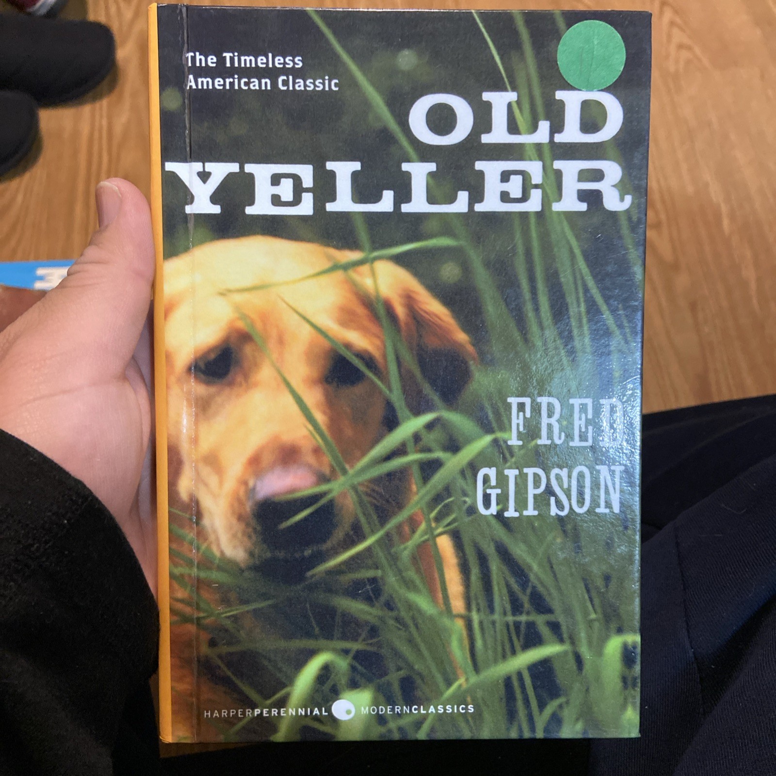 Old Yeller by Fred Gipson (2009, Hardcover)