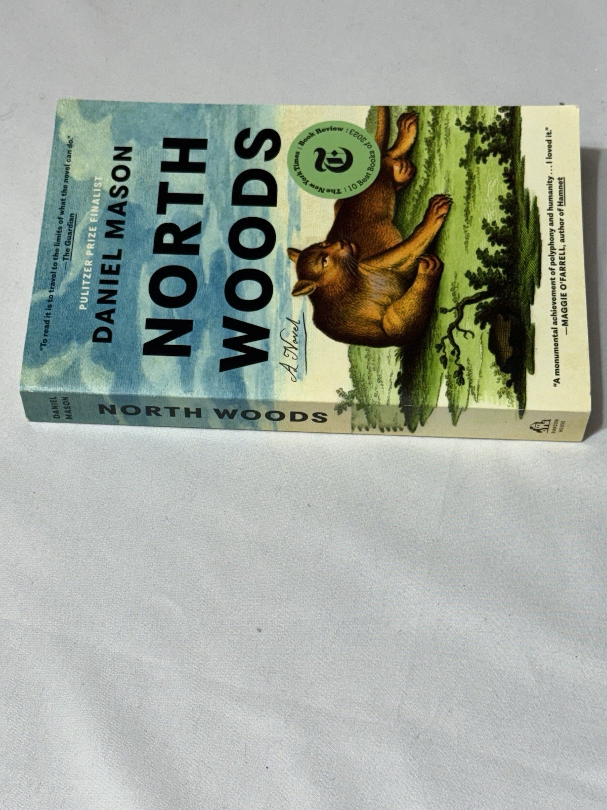 North Woods : A Novel by Daniel Mason (2023, Trade Paperback)