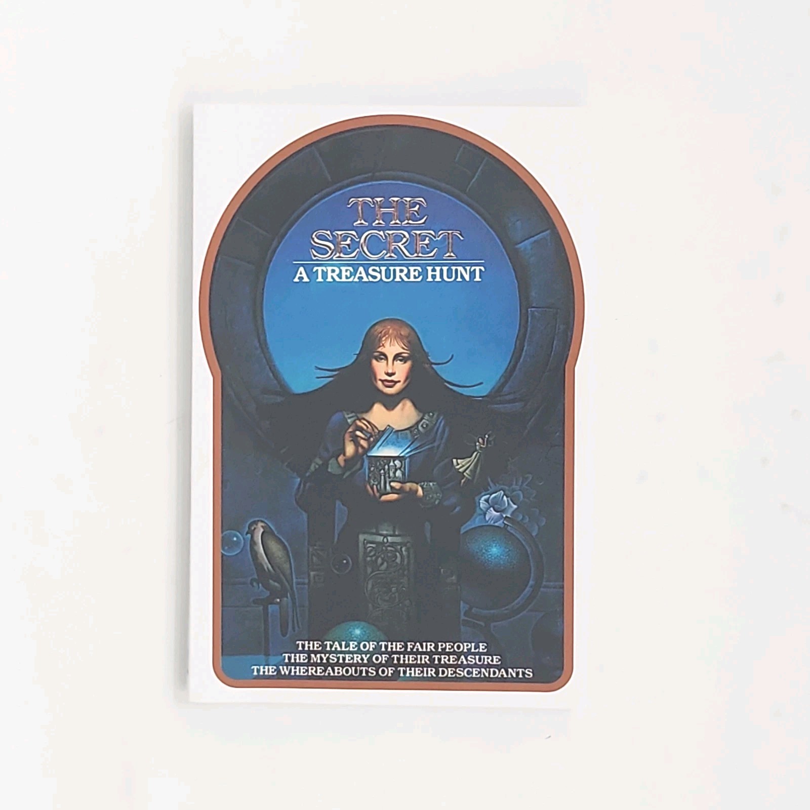 The Secret A Treasure Hunt by Sean Kelly & Ted Mann 2018 Paperback Book