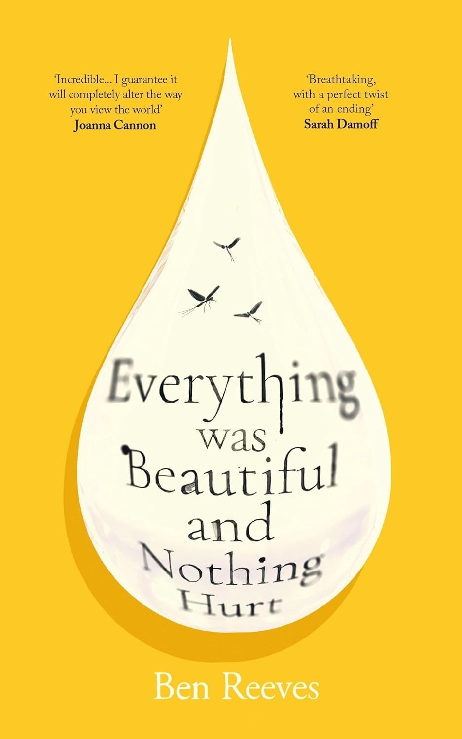 Everything was Beautiful and Nothing Hurt (Paperback) by Reeves, Ben