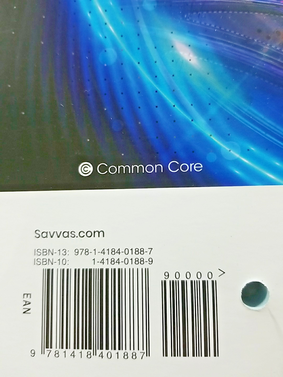 EnVision Algebra 1 Student Companion Savvas Learning Company 2024 Edition New