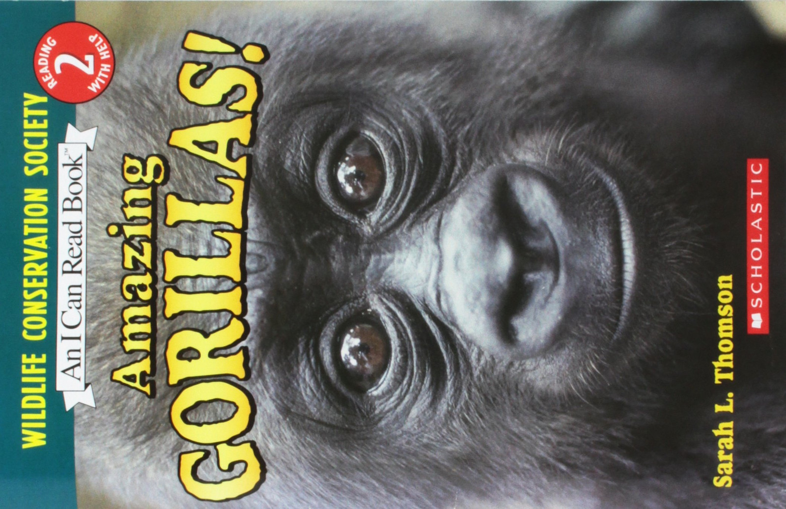 Amazing Gorillas! – Alison Inches – paperback – Good