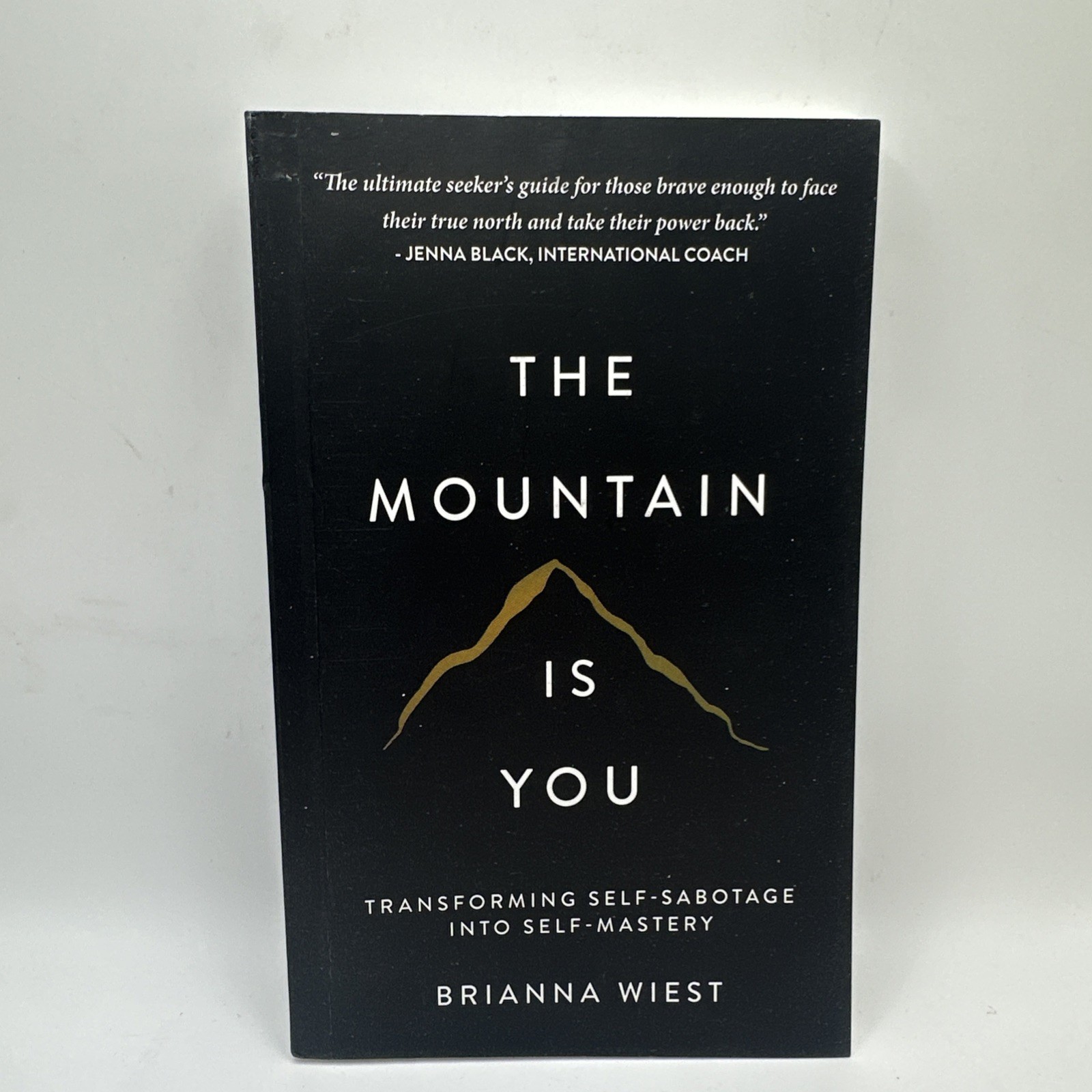 The Mountain is You By Brianna Wiest USA Stock Premium Quality Free Shipping