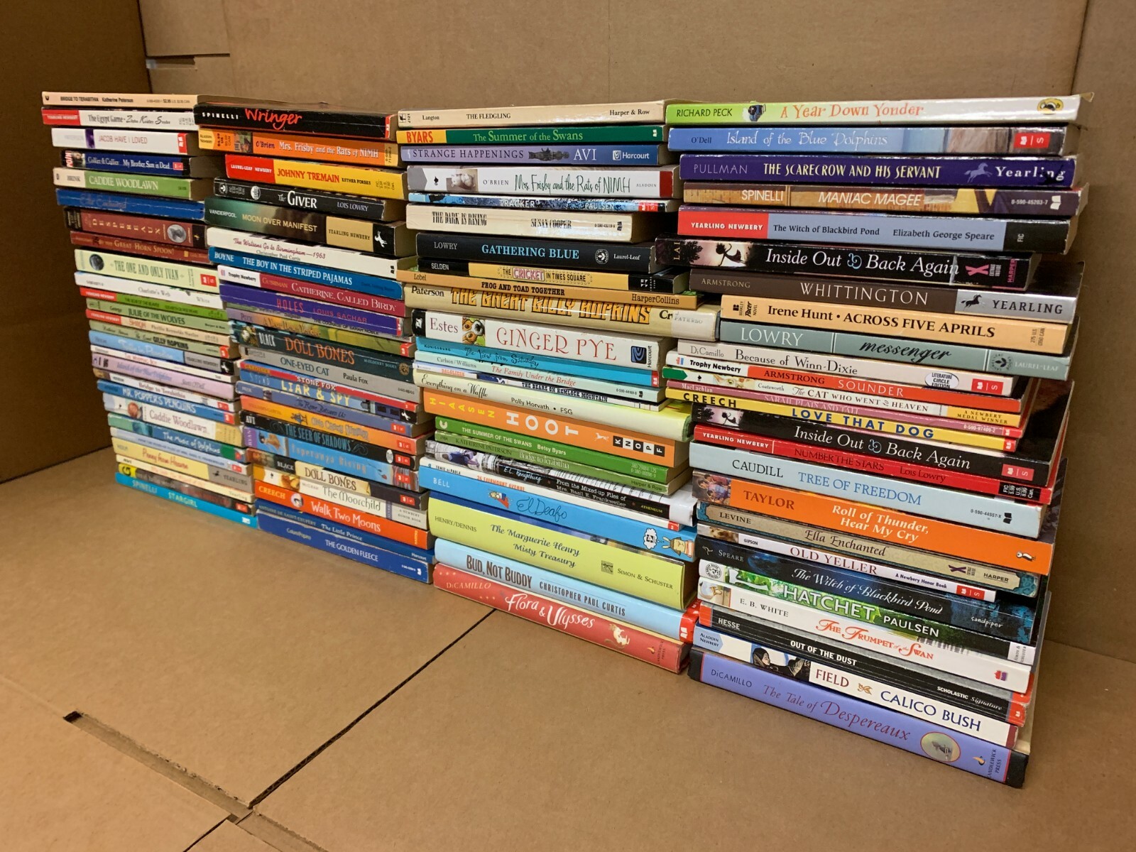 Lot of 15 Newbery Honor Award Winning Chapter Children Kid Books AR *RANDOM MIX