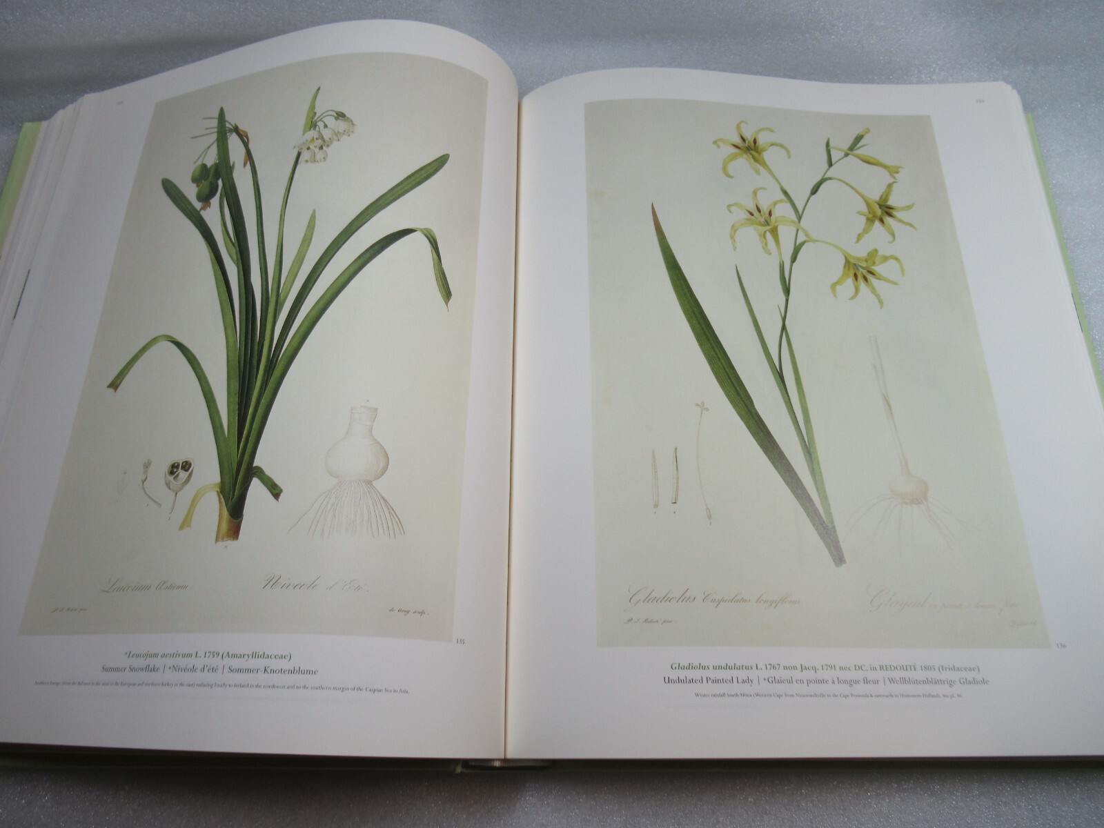 THE LILIES – Pierre-Joseph Redoute 1759-1840 – Taschen 2000 HB-DJ