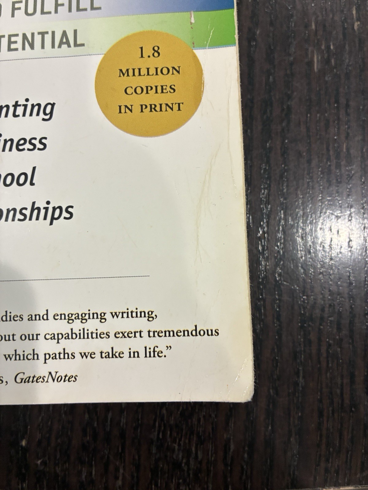 Mindset : The New Psychology of Success by Carol S. Dweck (2006, Hardcover)