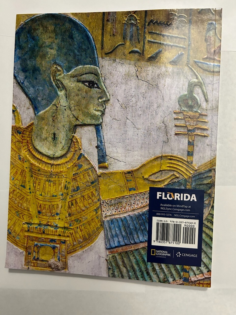 World History Ancient Civilizations, Teacher Companion Florida Edition NEW