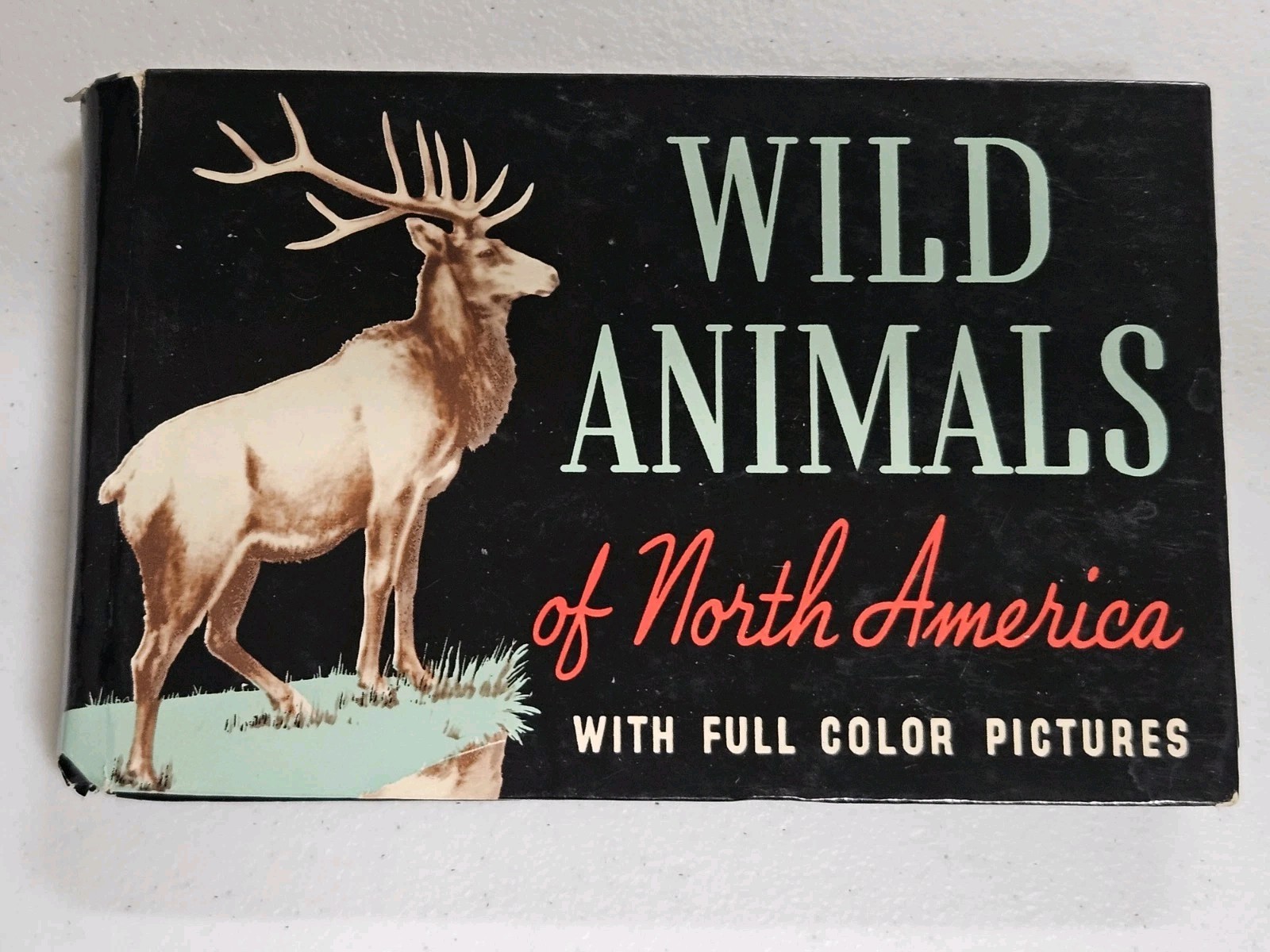 1939 Little Hardcover Book – Whitman Publishing – Wild Animals