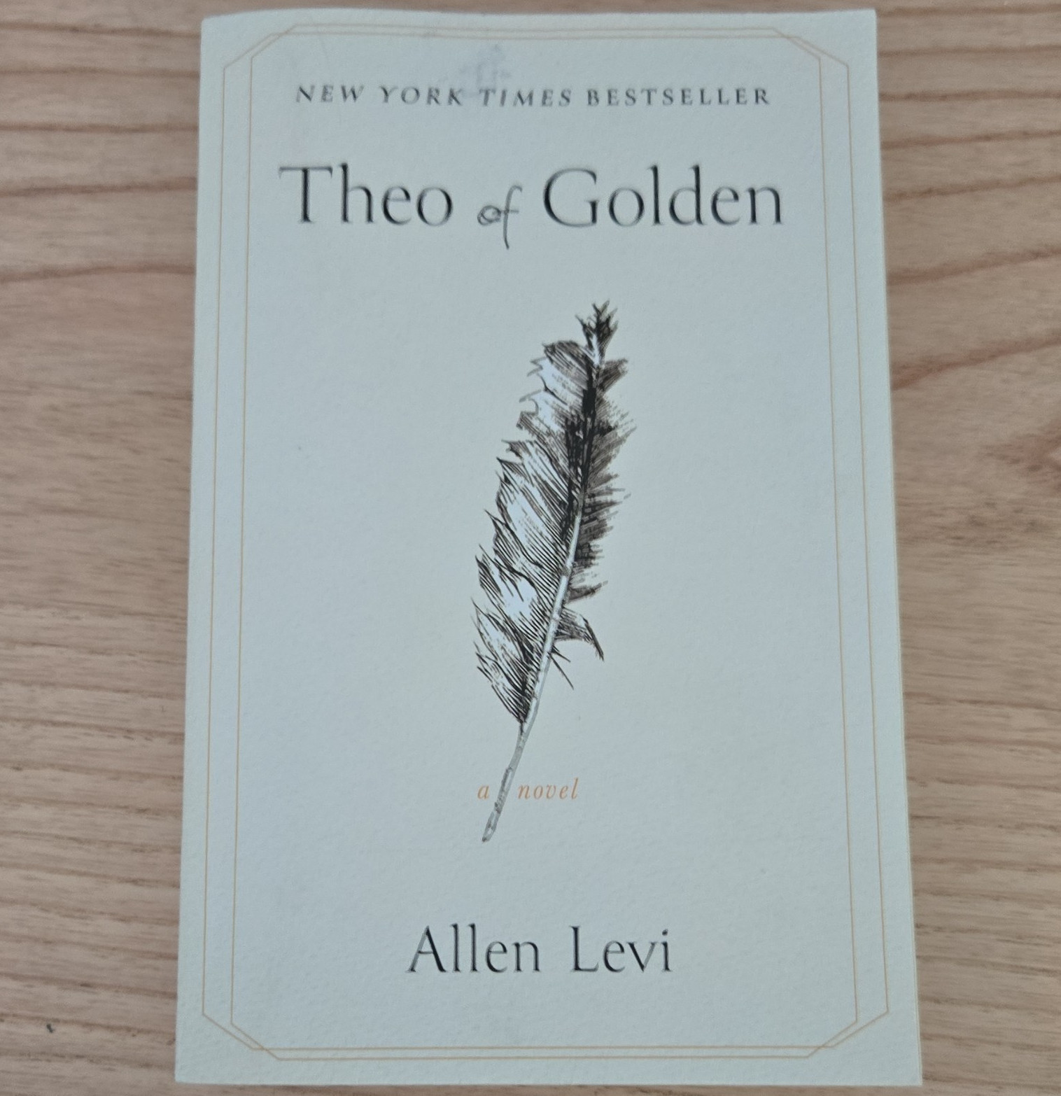 Theo of Golden: A Novel by Allen Levi 2025 Trade Paperback Fiction Literary