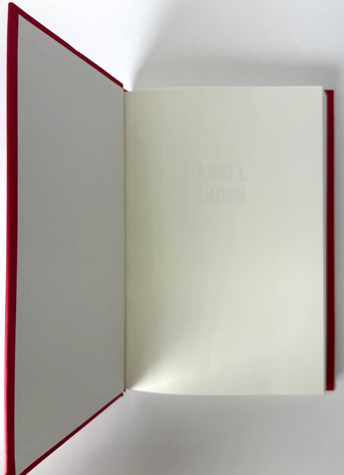Angel Down (Pulitzer) Daniel Kraus 2025 1st ed 2nd print in Mylar, Brand new