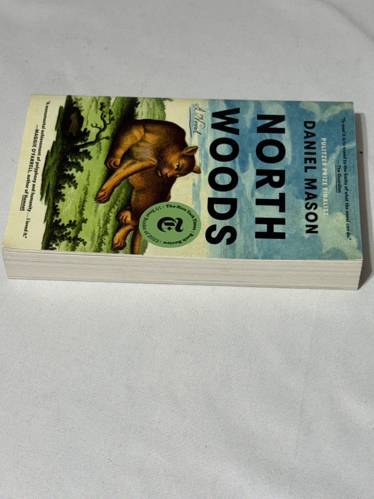 North Woods : A Novel by Daniel Mason (2023, Trade Paperback)
