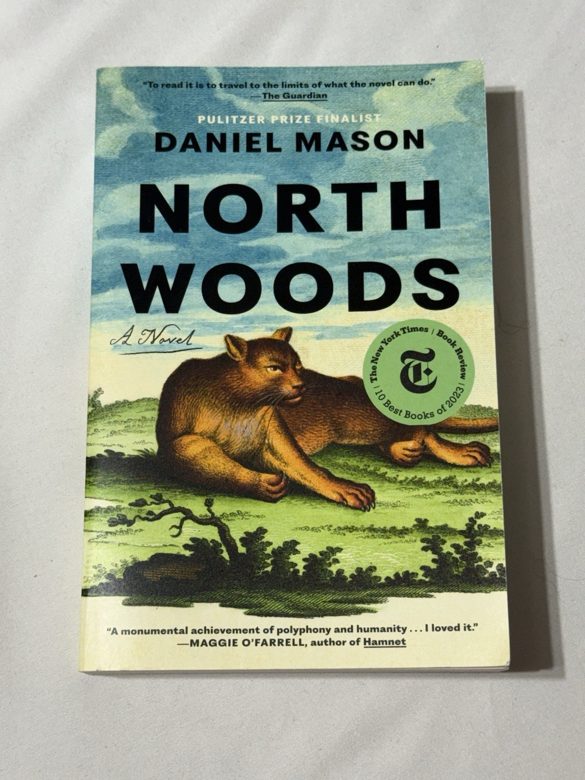 North Woods : A Novel by Daniel Mason (2023, Trade Paperback)